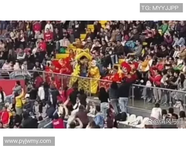 球员身穿国旗庆祝夺冠，感动无数网友